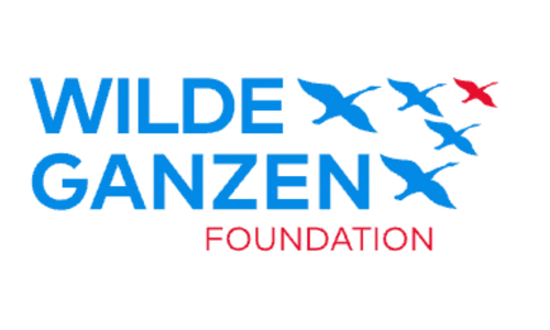 Wilde Ganzen